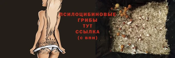 соль ск Нефтегорск