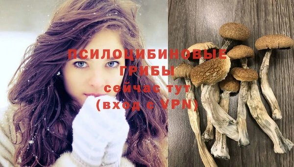 соль ск Нефтегорск