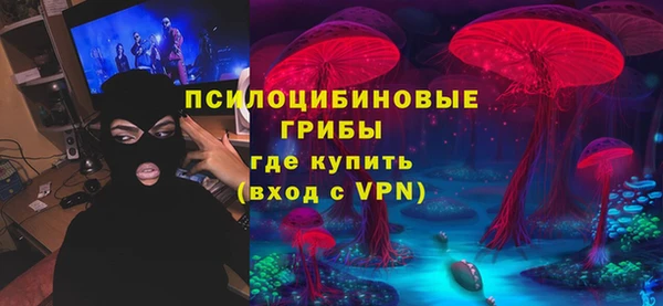 не бодяженный Новозыбков
