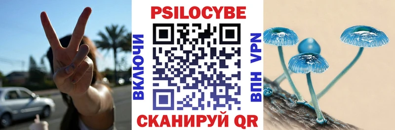 OMG ссылки  Медынь  Псилоцибиновые грибы Magic Shrooms  цена  